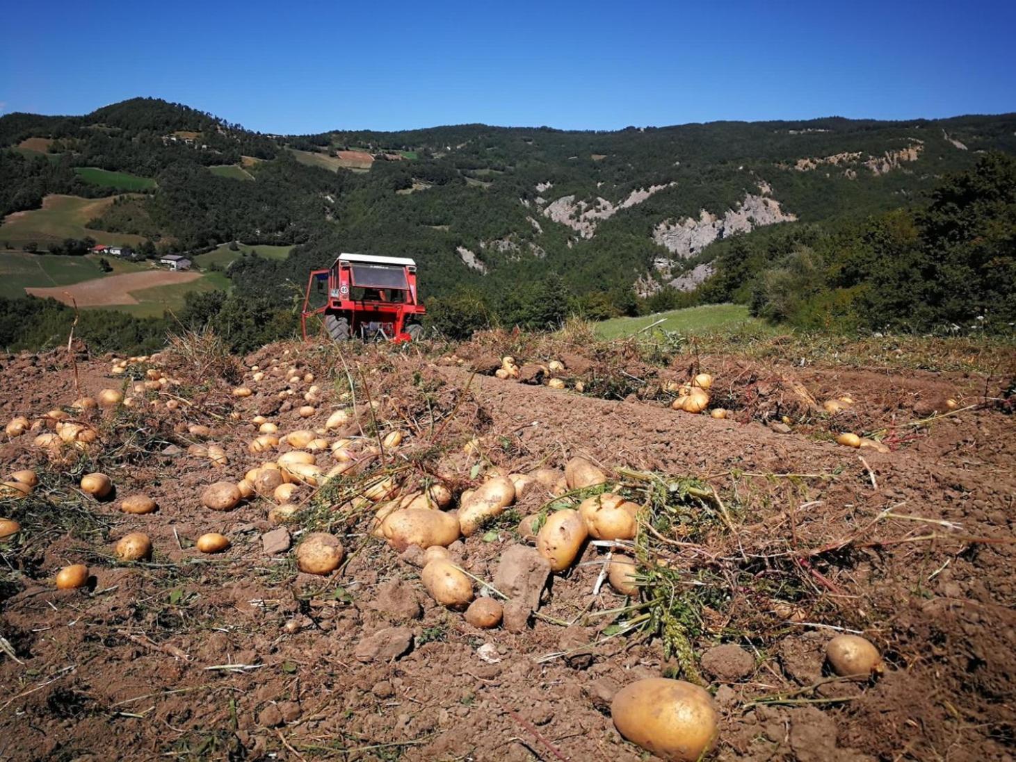 Il Mulino Della Rocca Bauernhof Berceto