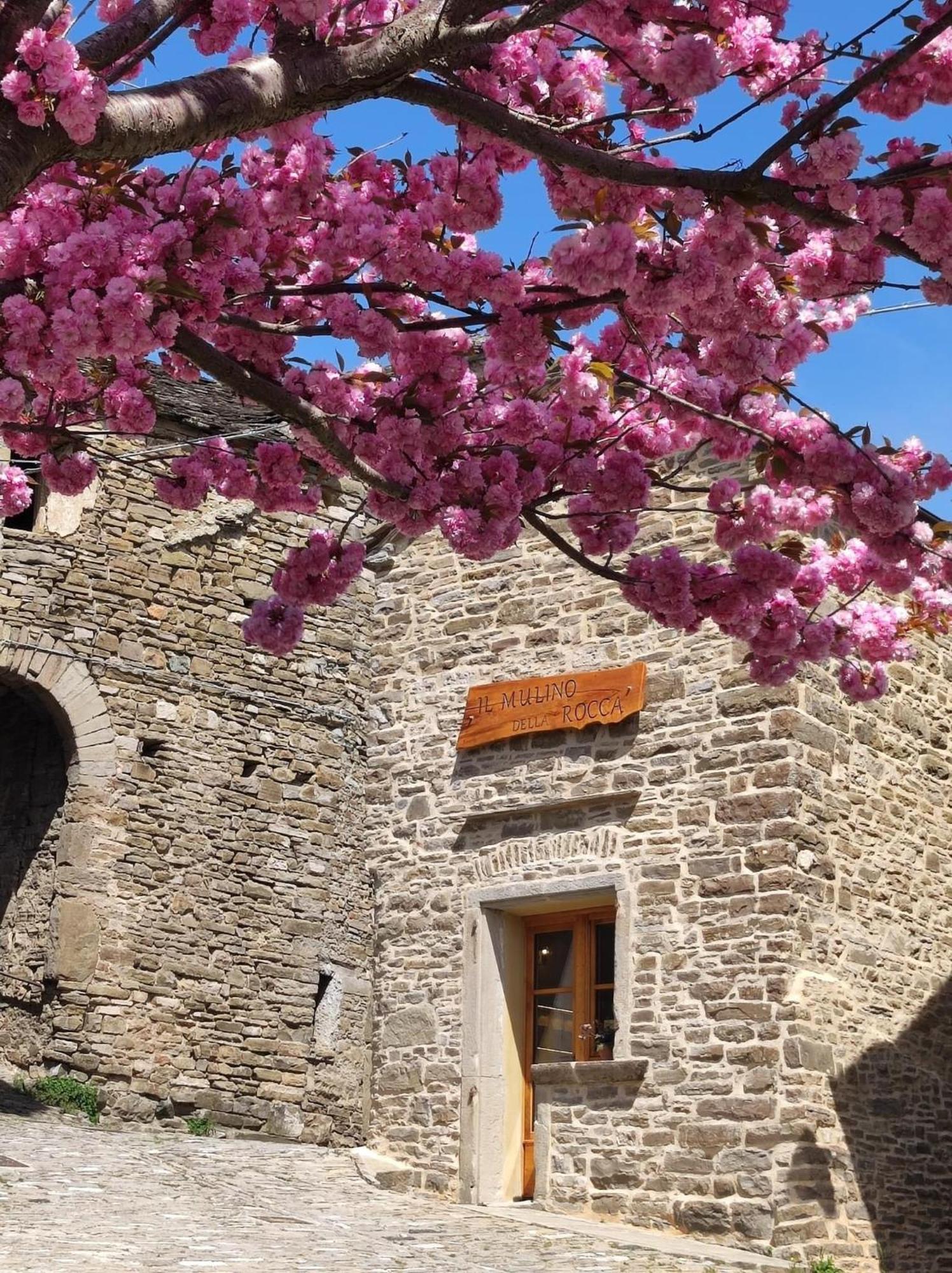 Il Mulino Della Rocca Bauernhof Berceto